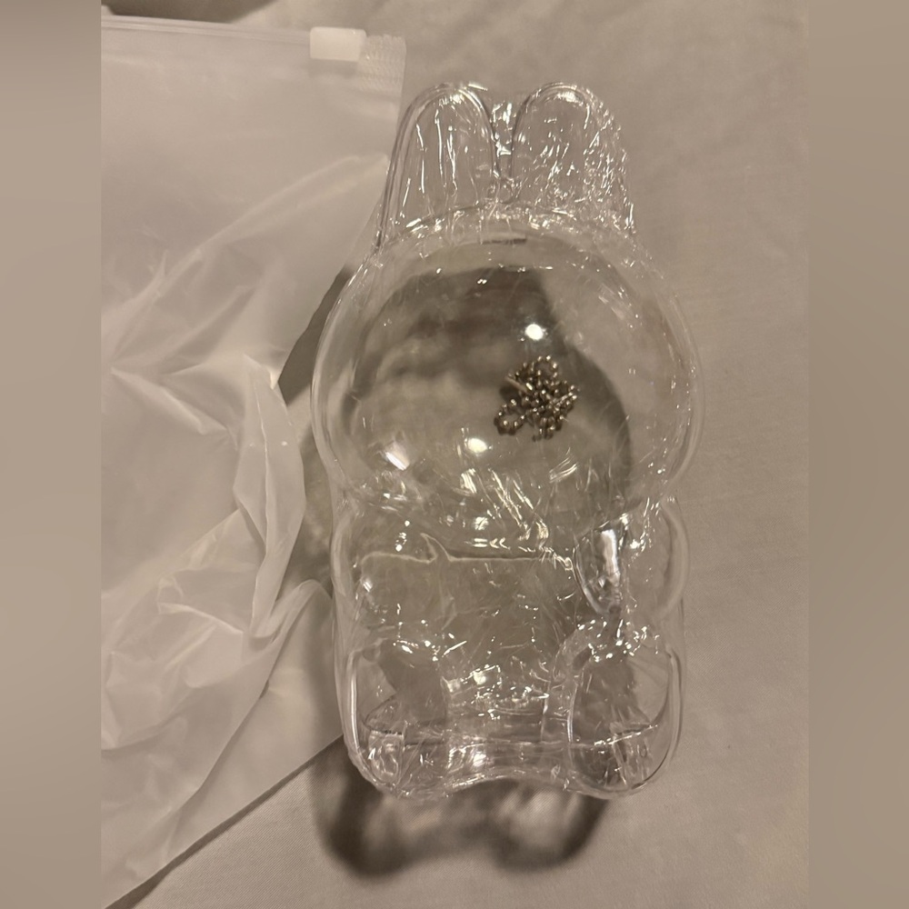 Labubu Enclosed Clear Case